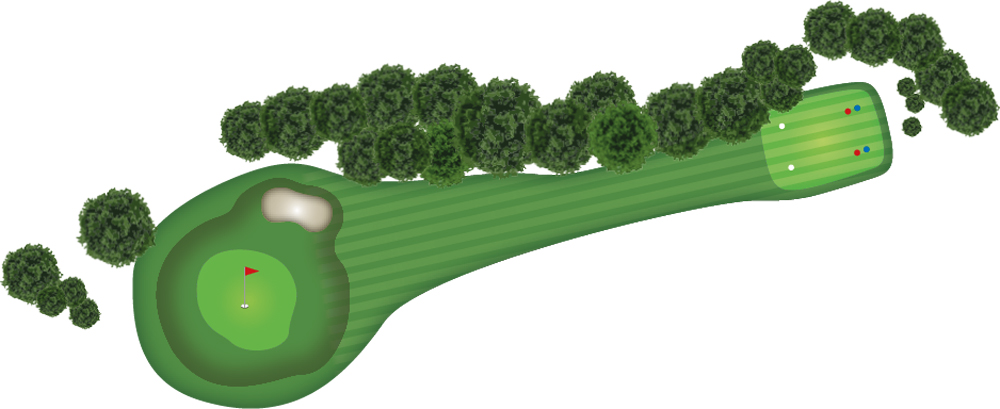 overview map of Hole 12