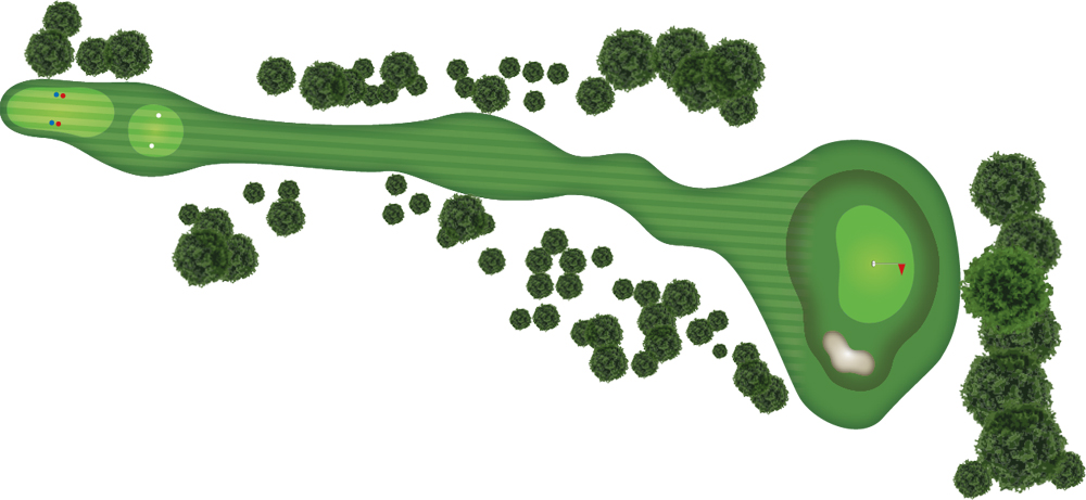 overview map of Hole 4