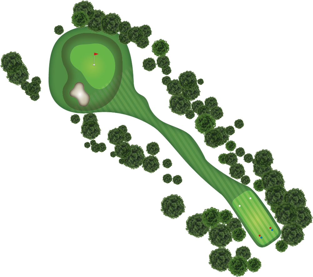 overview map of Hole 13