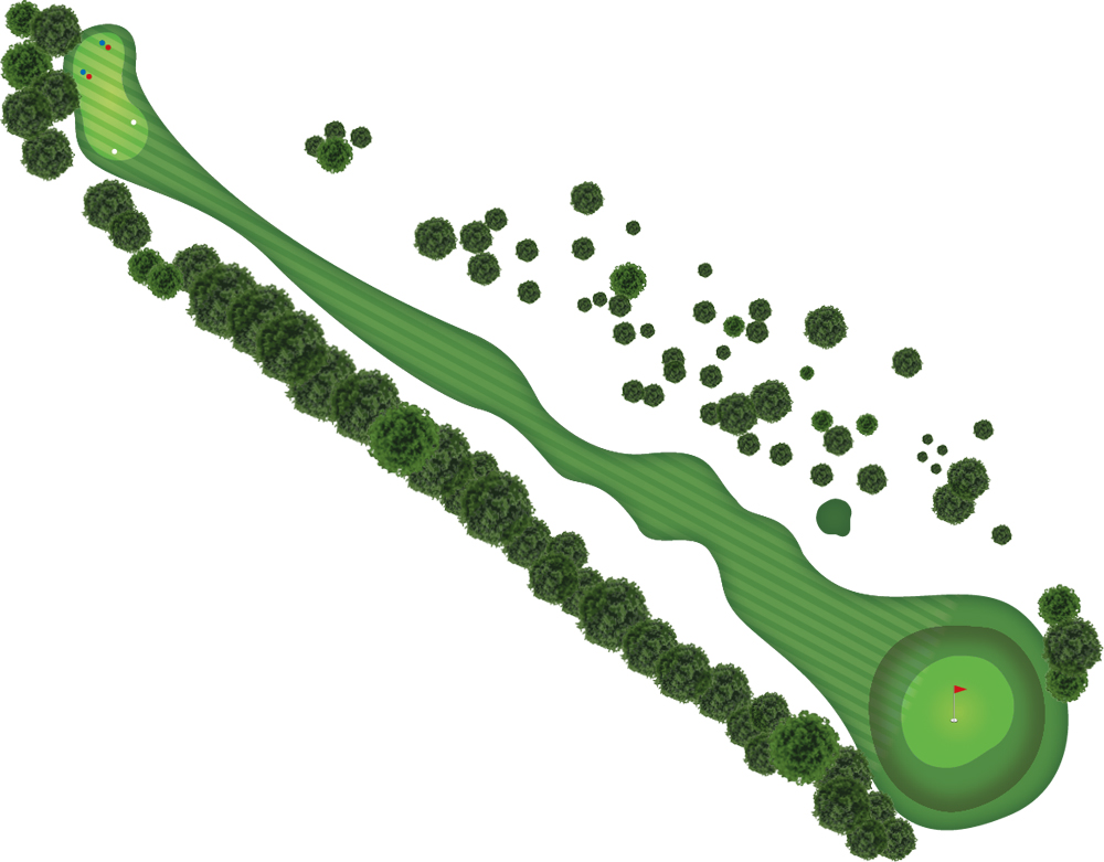 overview map of Hole 8